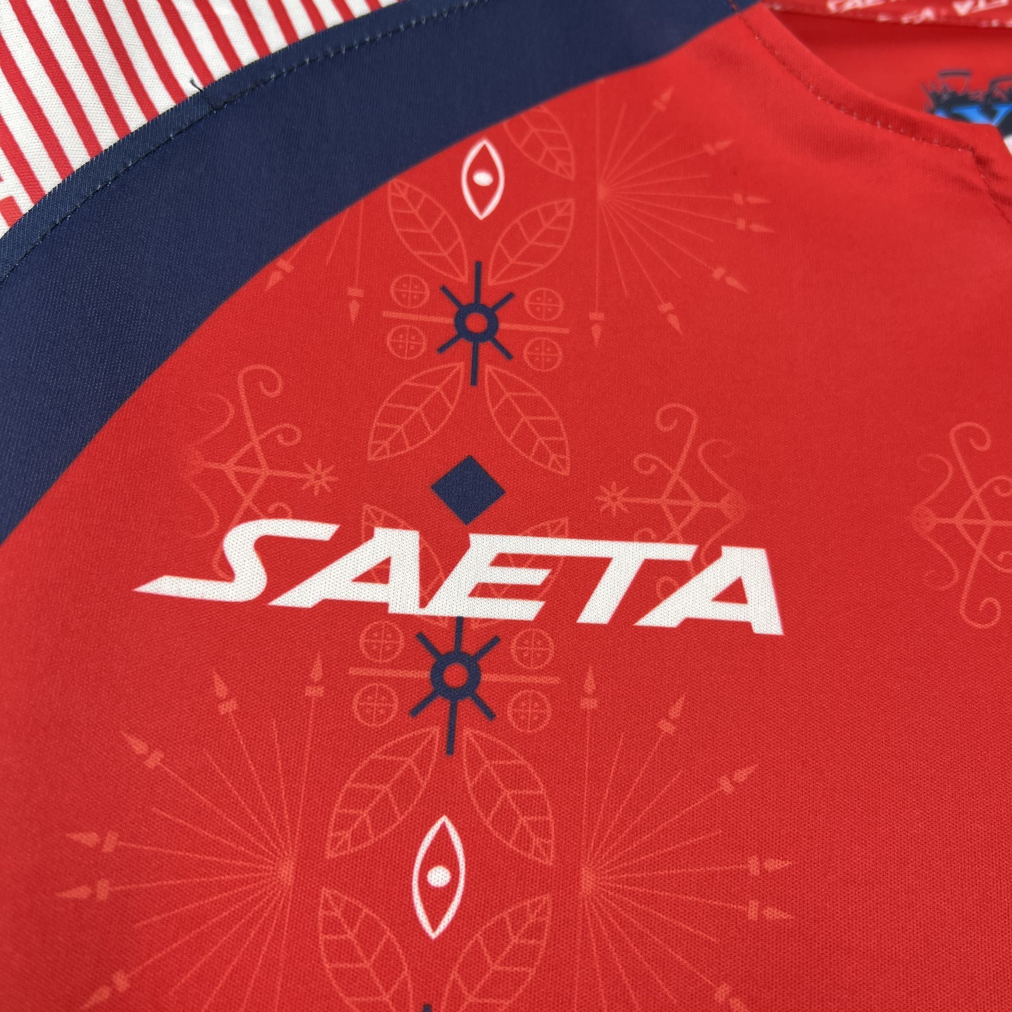 Haiti Third Soccer Jersey World Cup 2026