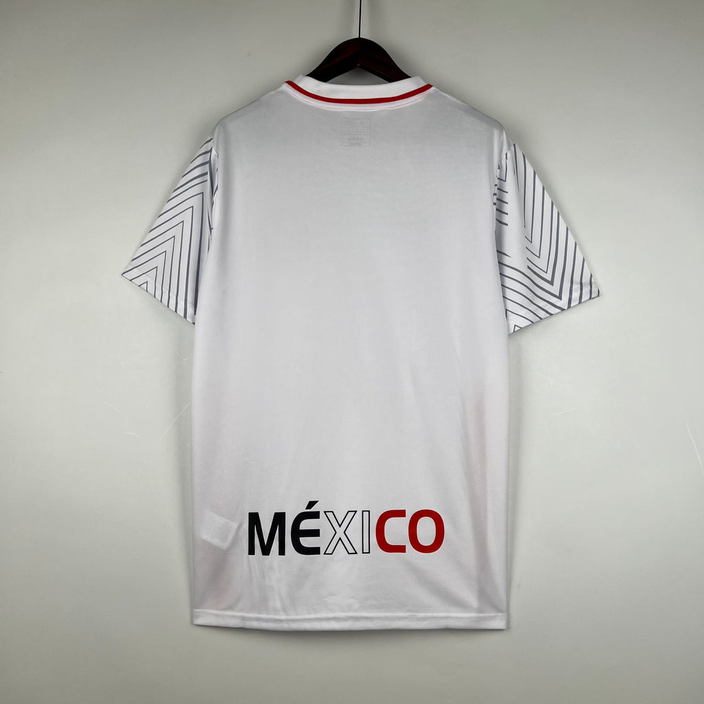 Mexico Away Soccer Jersey 2023/24