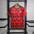 Morocco Home Soccer Jersey 2023/24