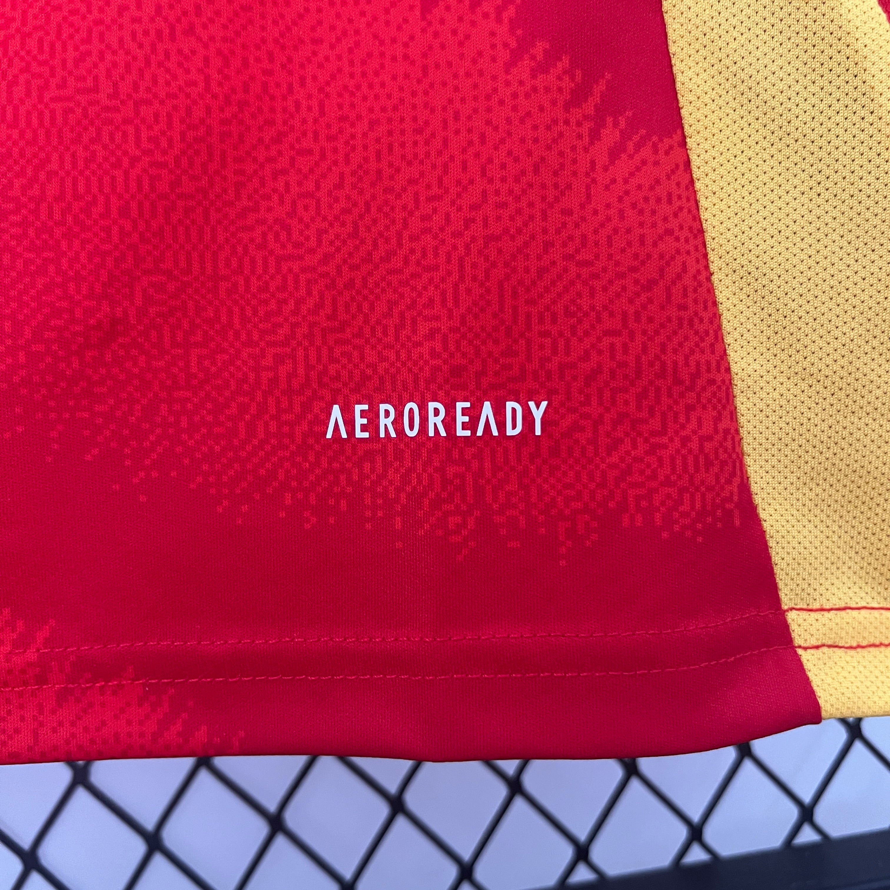 Spain Andrés Iniesta 6 Home Soccer Jersey Euro 2024
