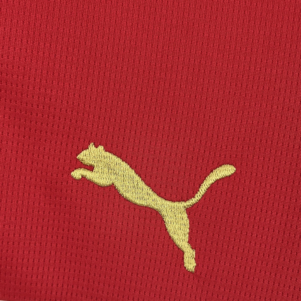 Morocco Home Soccer Jersey World Cup 2026