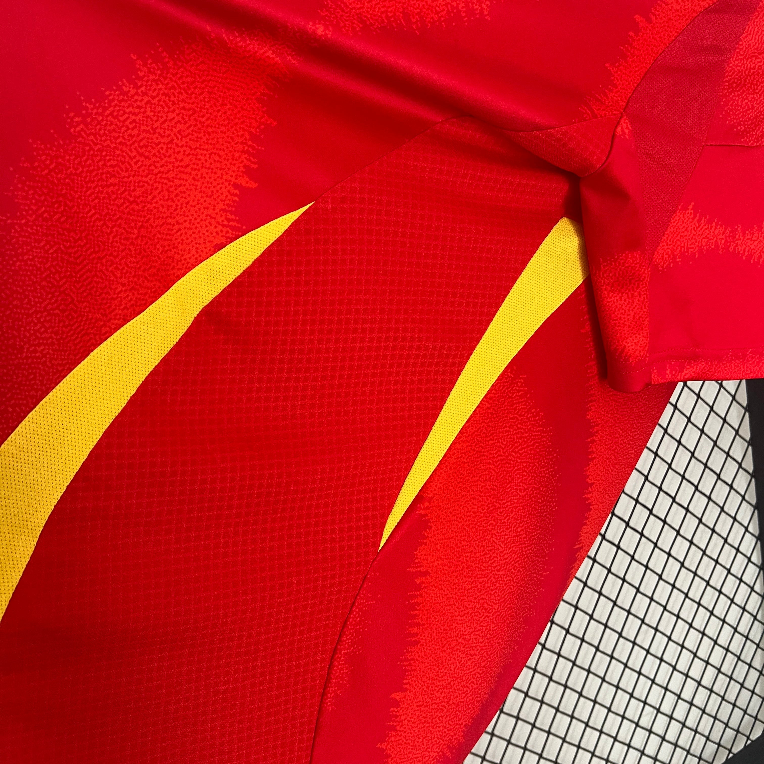 Spain Pedri 21 Home Soccer Jersey Euro 2024
